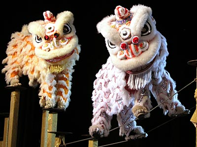 �������q���i�₮��j