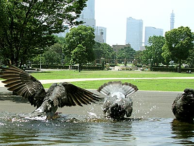 �n�V���M�߂�!?